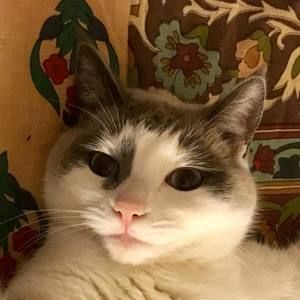 Meet your Posher, Barbara